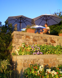 Dove Farms - About Us