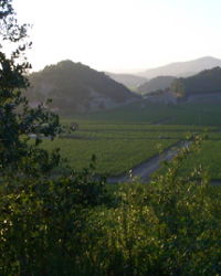 Dove Farms - Winery
